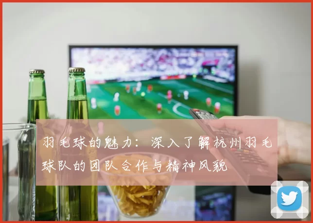 羽毛球的魅力：深入了解杭州羽毛球队的团队合作与精神风貌