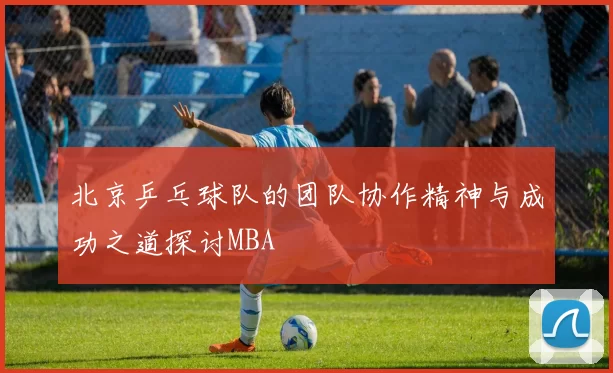 北京乒乓球队的团队协作精神与成功之道探讨MBA