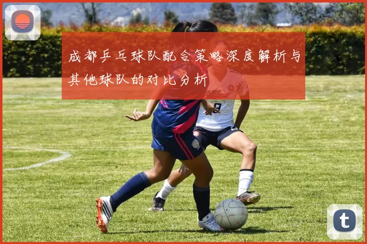 成都乒乓球队配合策略深度解析与其他球队的对比分析