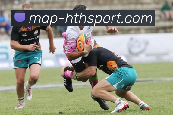 数据防护可视化